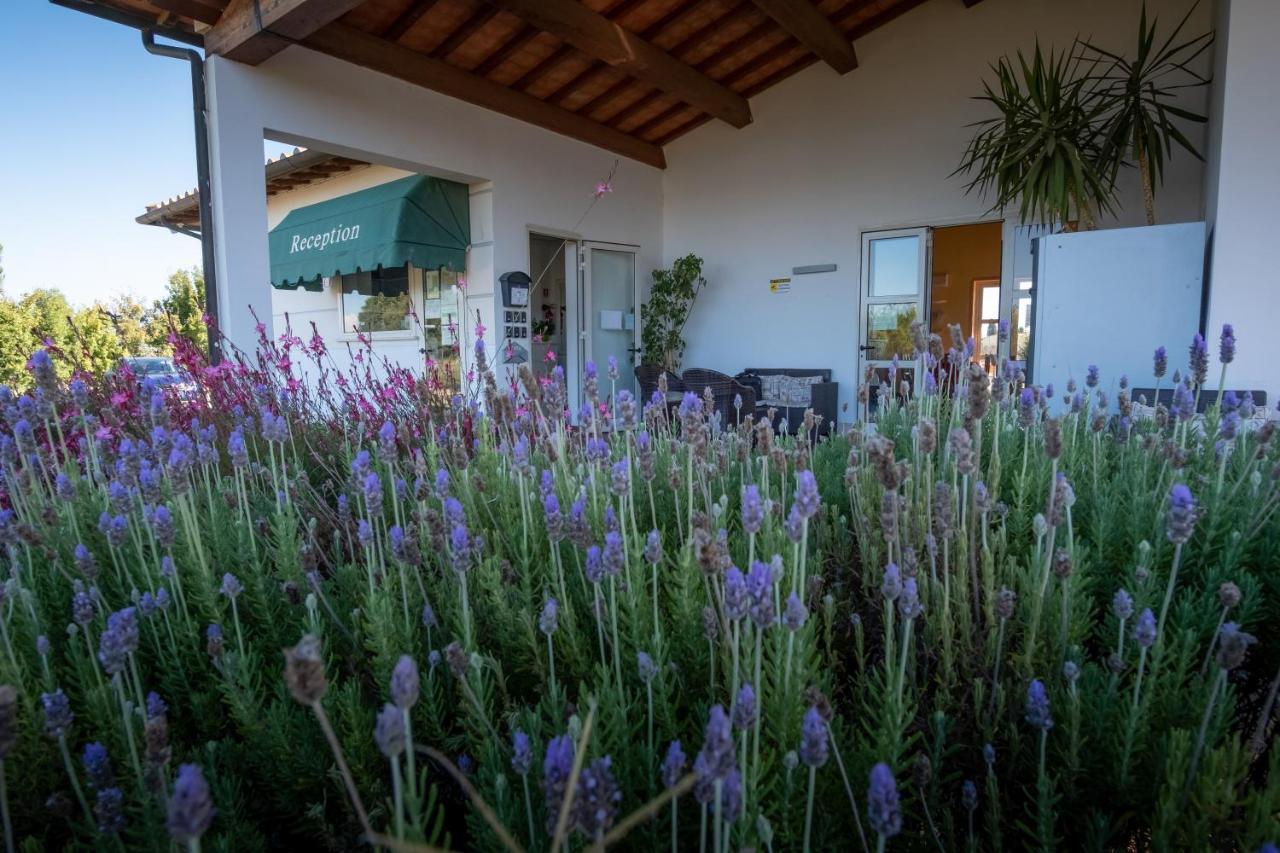 Residenza Principina Aparthotel Principina Terra Exterior photo